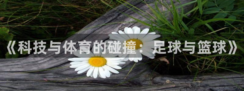 678体育app