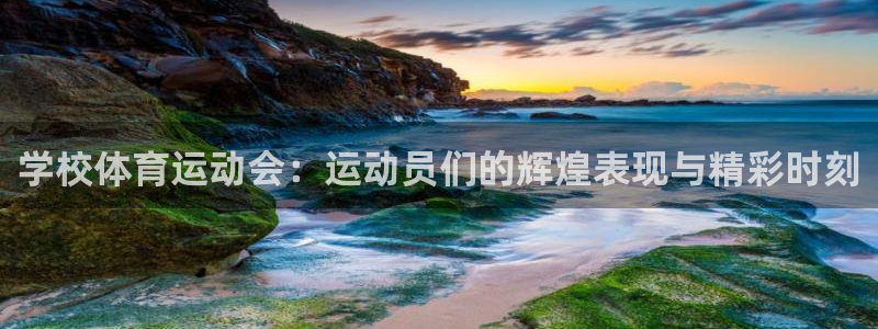 678体育知识