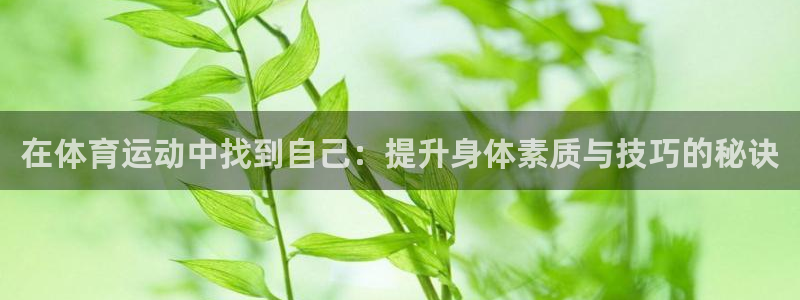 678体育官网