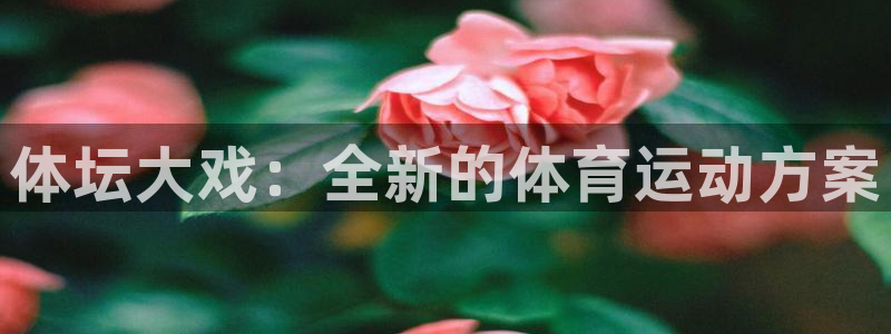 678体育app