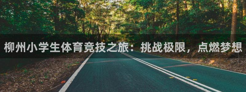 678体育官网地址