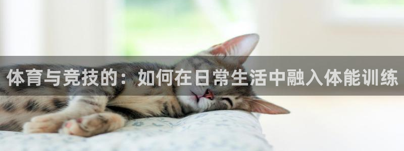 678体育官网下载