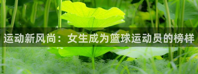678体育知识