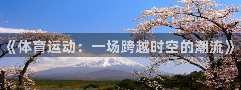 678体育官网地址