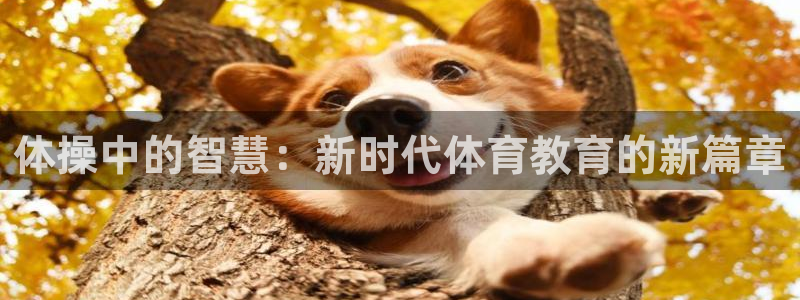 678体育官网地址