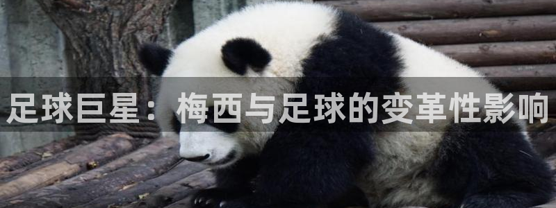 678体育官网下载